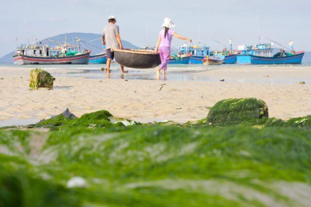 Review Tour đảo Điệp Sơn Dốc Lết Nha Trang 1 ngày Bỏ Túi 2019