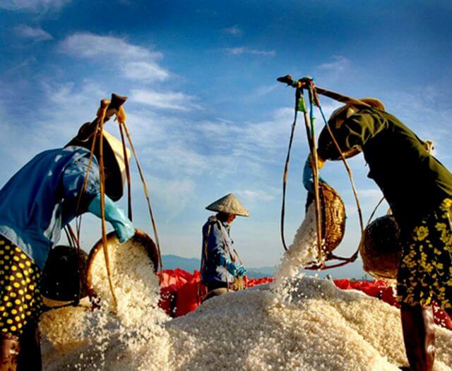 Review Tour đảo Điệp Sơn Dốc Lết Nha Trang 1 ngày Bỏ Túi 2019