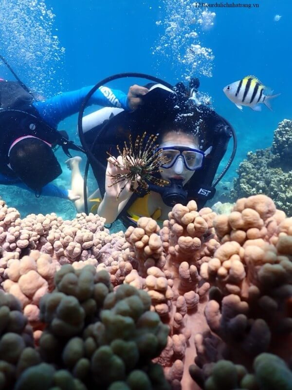 tour-3-dao-vip-nha-trang-4