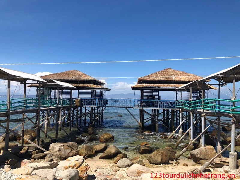 Tour đảo Yến Hòn Nội Nha Trang (6)